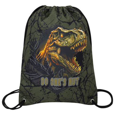 Мешок для обуви BRAUBERG PREMIUM ″Dino attack″ Мешок для обуви BRAUBERG PREMIUM ″Dino attack″