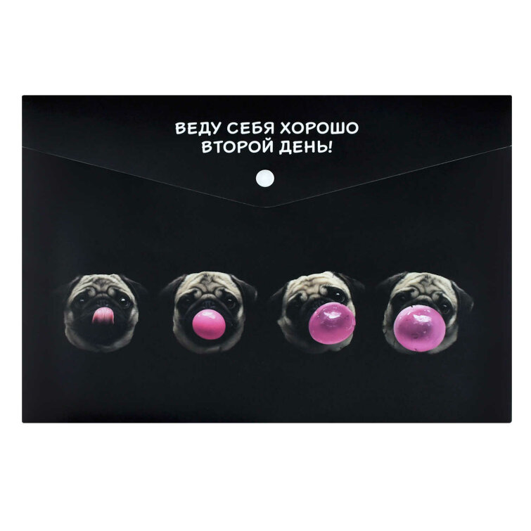 ����� ��� �������� �������� ����������� ������+, ������ �4, 180 ���, ������