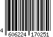 4606224170251