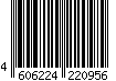 4606224220956