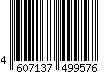 4607137499576