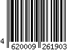 4620009261903