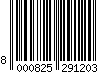 8000825291203