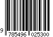 9785496025300